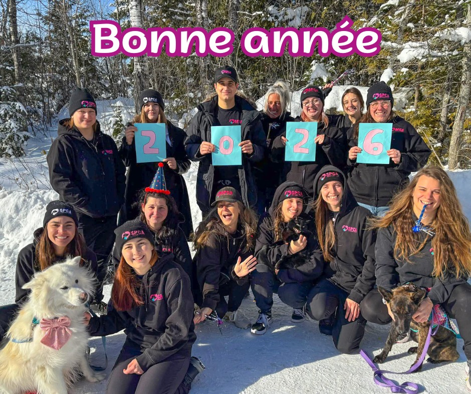 605627884 1286914836804611 2103194843909973378 n