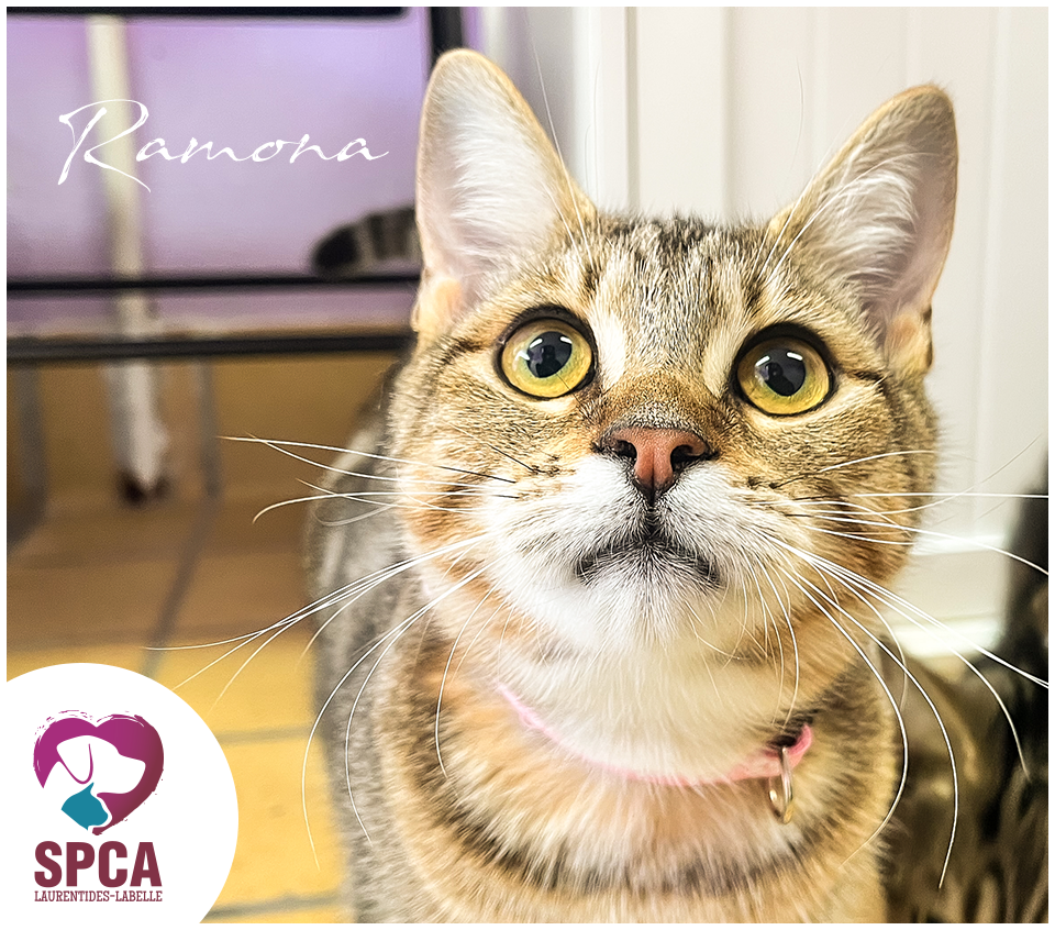 Ramona