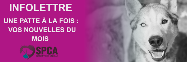 Infolettre janvier 2026