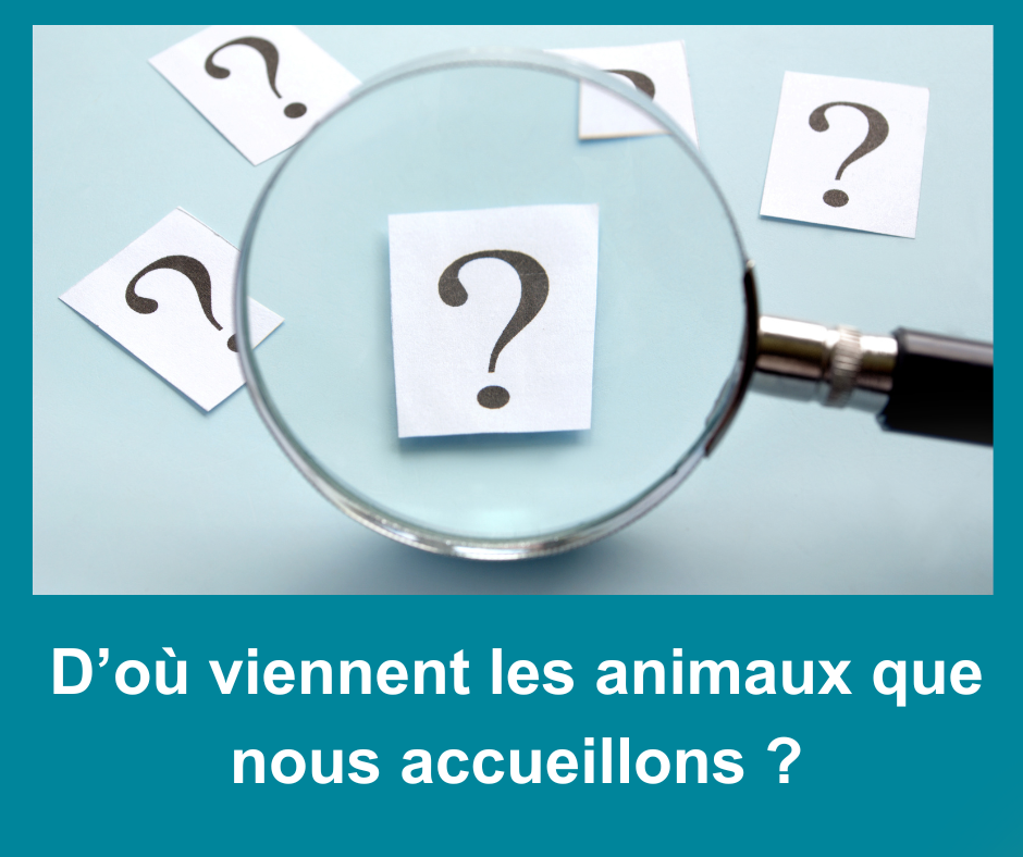 Infolettre janvier 2026 2