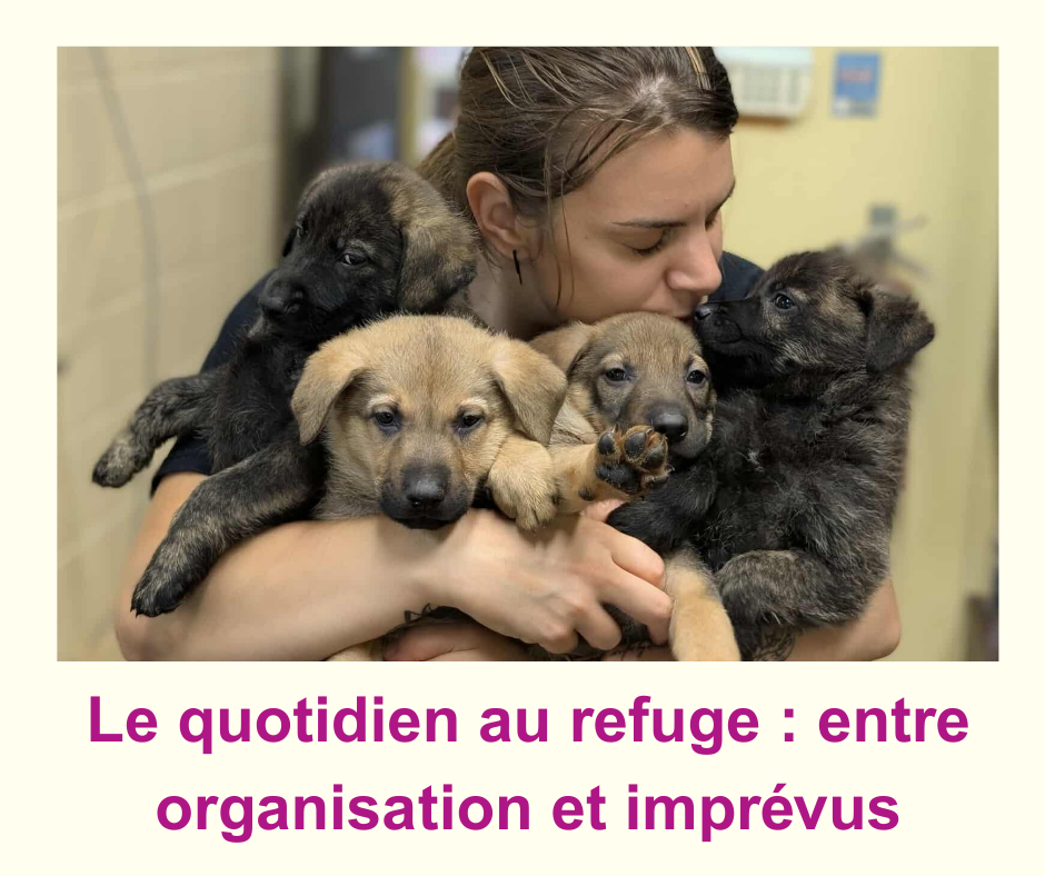 Infolettre janvier 2026 1