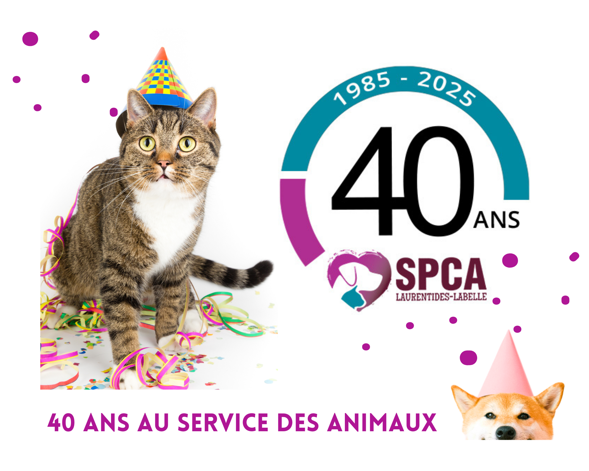 40 years of caring for animal 1985-2025