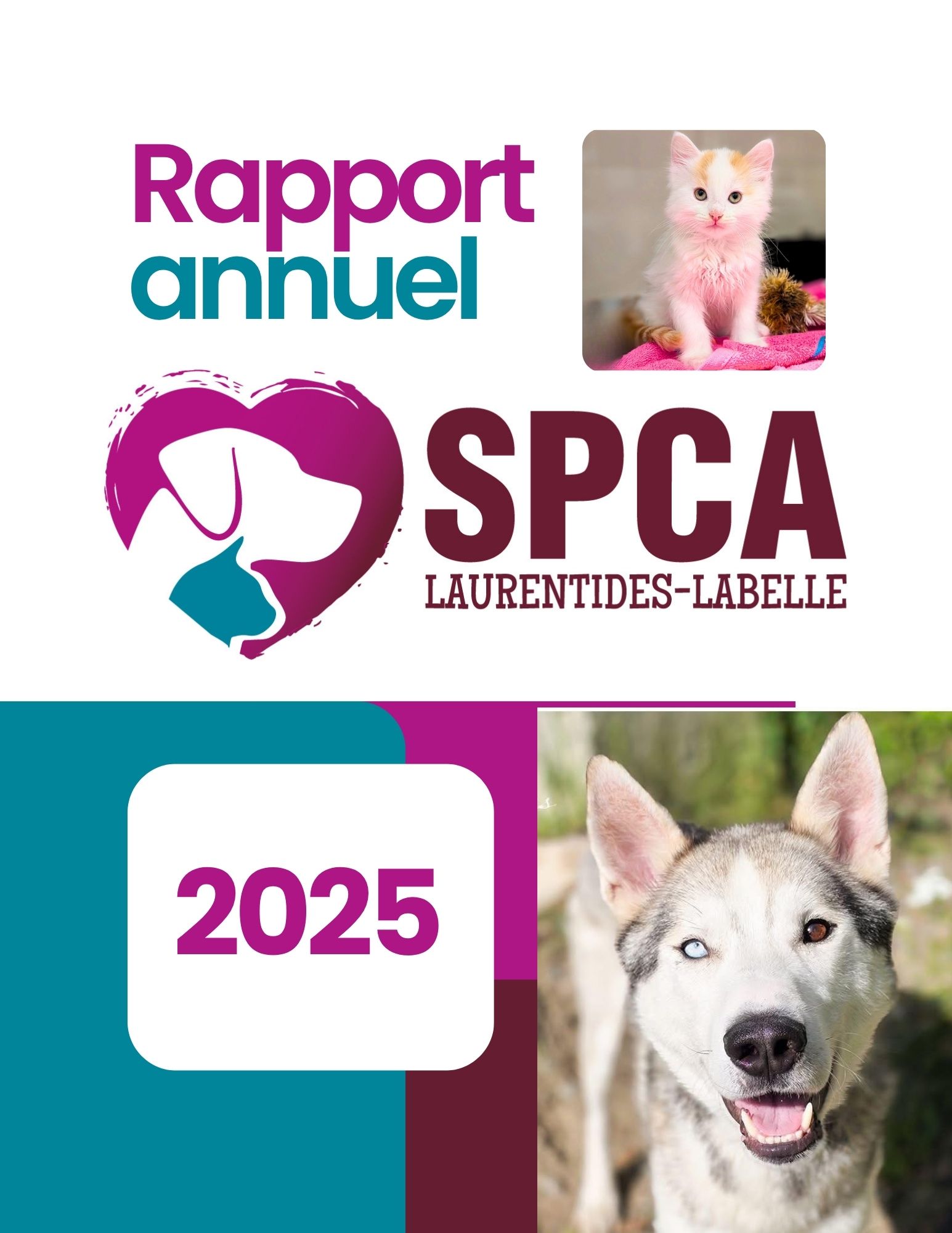 Rapport annuel 2025