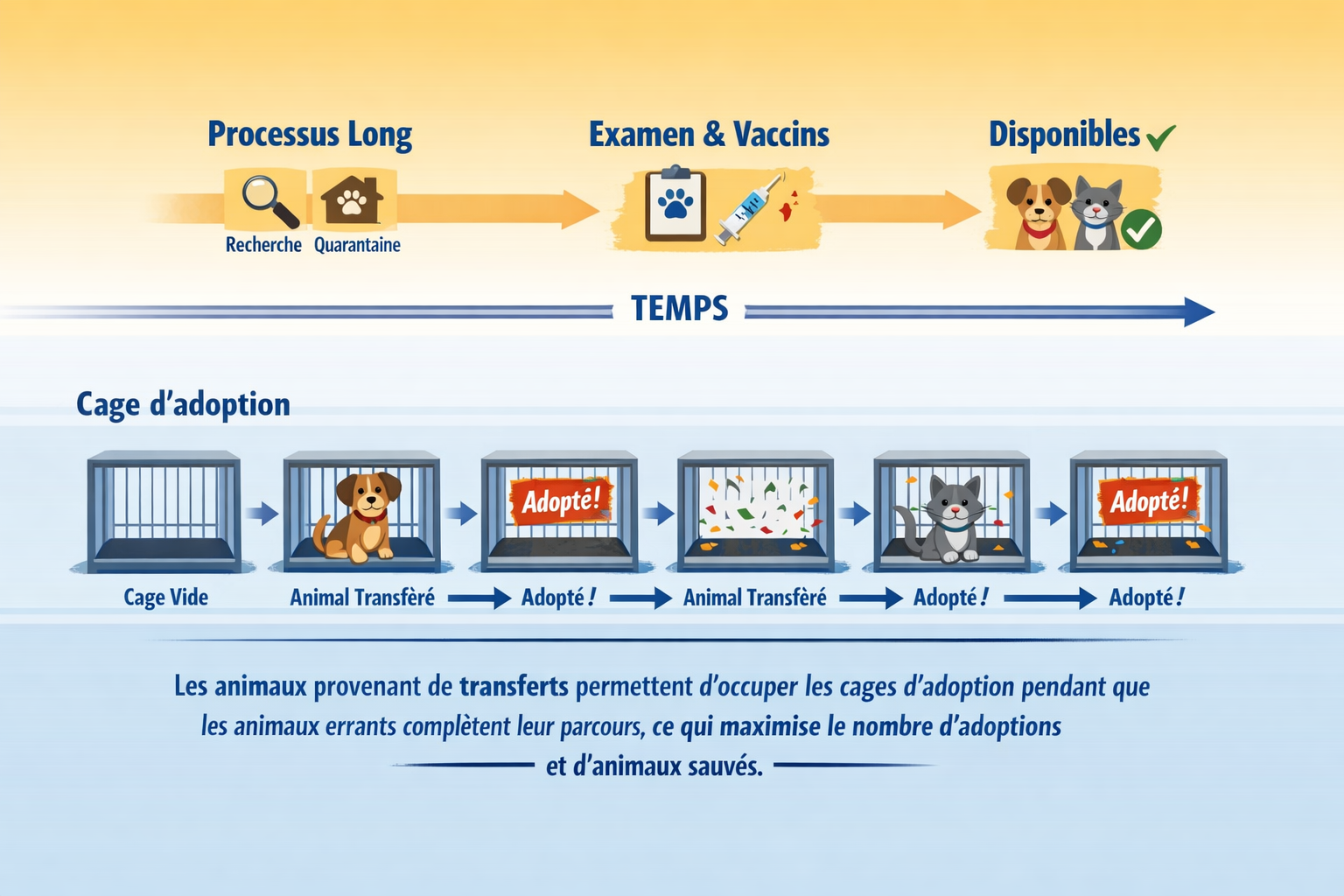 Schéma cage en adoptionpng