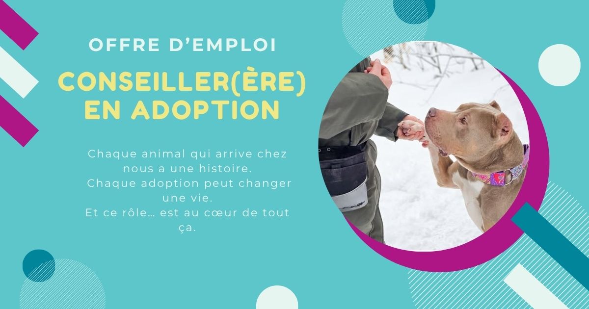 offre emplois conseillers en adoption