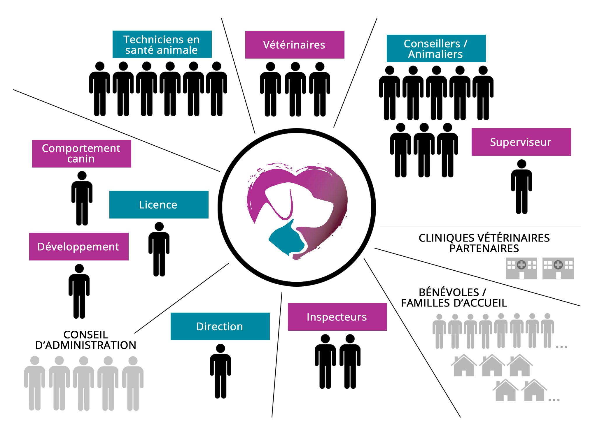 organigramme complet