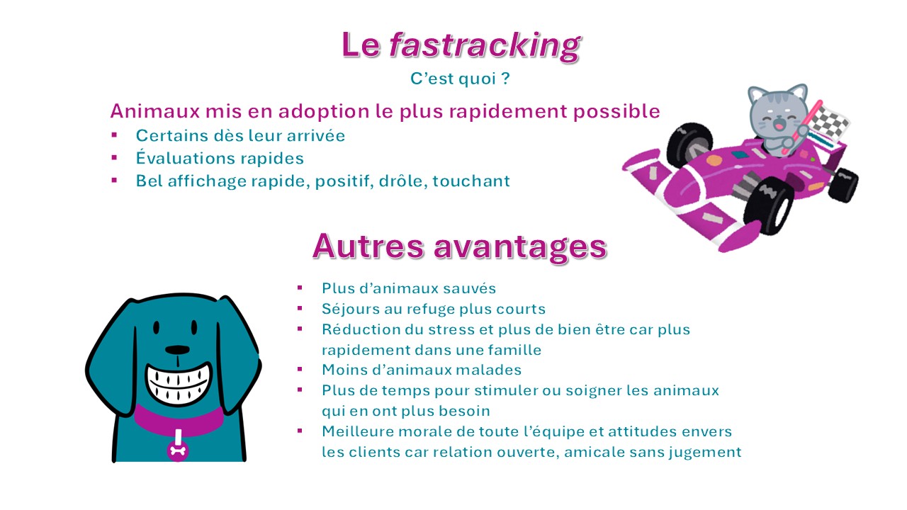 présentation 3