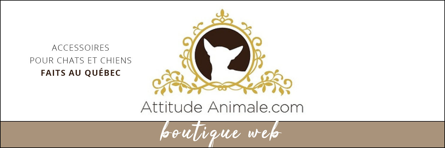 visuel encan bandeau attitude animale