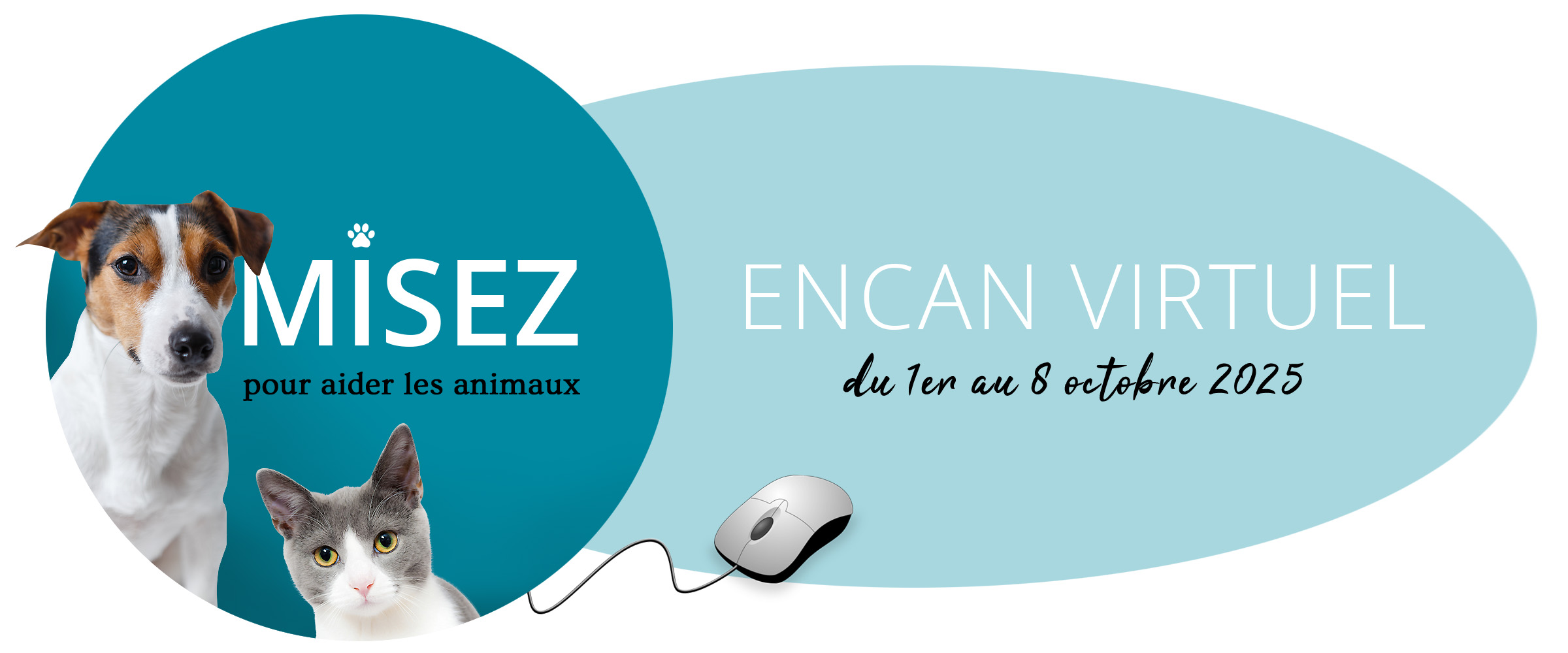 visuel encan bandeau site web